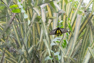 Bohol, Philippines: Unexpectedly Beautiful