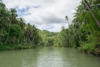 Bohol, Philippines: Unexpectedly Beautiful