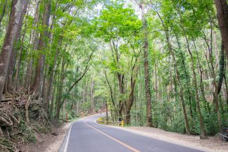Bohol, Philippines: Unexpectedly Beautiful