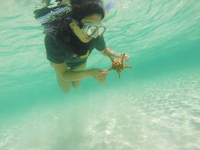 Bohol, Philippines: Unexpectedly Beautiful