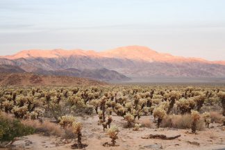 Best Weekend Road Trips from Las Vegas