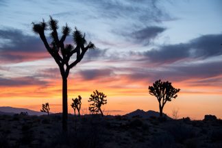 Best Weekend Road Trips from Las Vegas