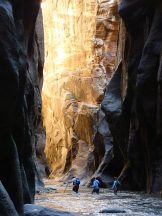 Best Weekend Road Trips from Las Vegas