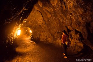 Explore Hawaii Volcanoes National Park One Day