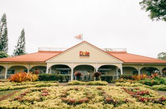 first timer's guide to oahu